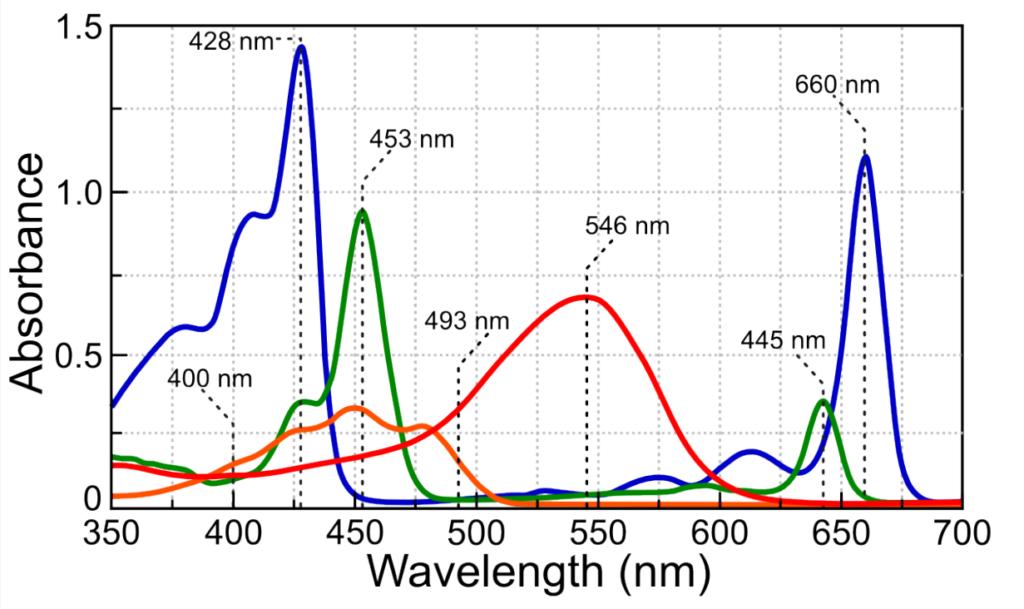 leaf pigments spectra